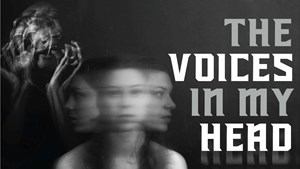 The Voices In My Head